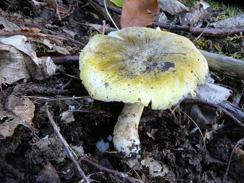 Forse l''ultima bellissima giornata..!!